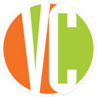 Vizcon Logo